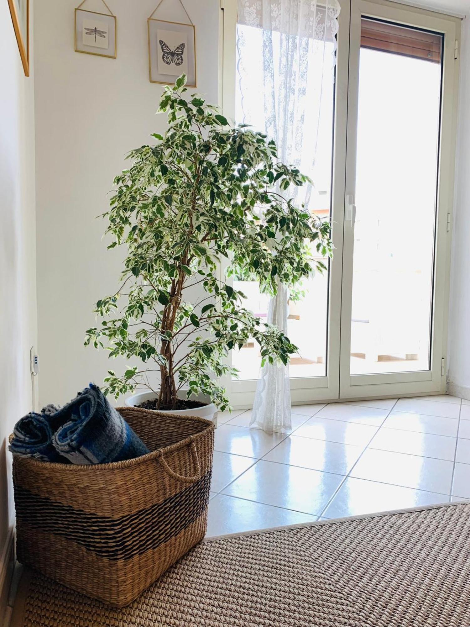 Apartmán A Casa Di Carolina Cassino Exteriér fotografie